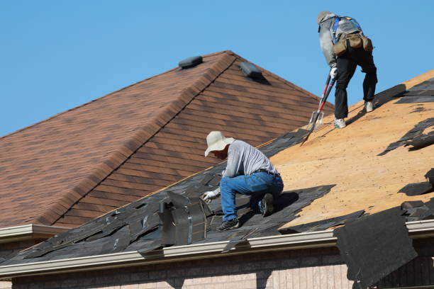 Best Solar Panel Roofing Installation  in St Paul, TX